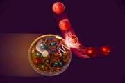 'Spooky action' at a very short distance: Scientists map out quantum entanglement in protons