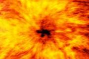 Method for predicting sunspot numbers and magnetic synoptic maps developed