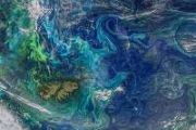 Curtin and NASA unlock ocean secrets from space