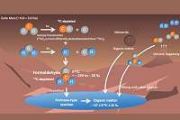 Organic molecules on Mars linked to atmospheric formaldehyde