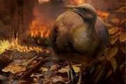 Massive eruptions did not trigger dinosaur extinction