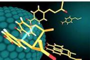 Bioactive compounds with industrial applications discovered in Andes bacteria