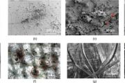 Lunar dust dynamics: Unveiling the charging properties and particle behavior of Chang'e-5 samples in an electric field