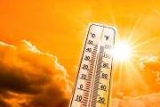 Study reveals how rising temperatures could lead to population crashes