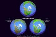 Tree planting remains the most effective carbon removal strategy despite climate and economic uncertainties