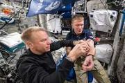 Health research on the ISS aims to uncover impacts of spaceflight on blood