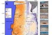 Living microbes identified in Earth's driest desert using new technique