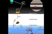 An autonomous strategy for life detection on icy worlds using Exo-AUV