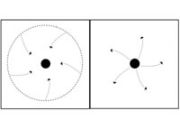 Primordial naked singularities may offer insights into quantum gravity